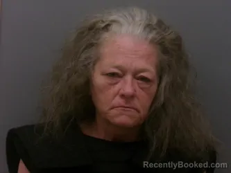 Mugshot of JAMELYN BROOKE HALL booked in Wise County, Texas on April 1, 2026