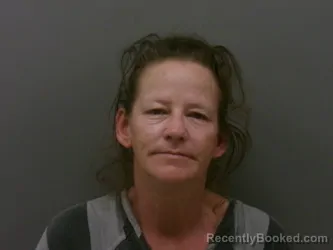 Mugshot of MICHELLE LYNN SCRIBNER booked in Wise County, Texas on April 2, 2026