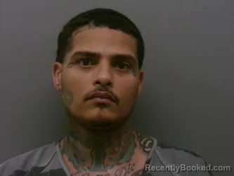 Mugshot of RONNIE HOUSTON WALKER booked in Wise County, Texas on April 2, 2026