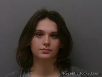 Mugshot of EMILY GRACE OLVEDA booked in Wise County, Texas on April 2, 2026