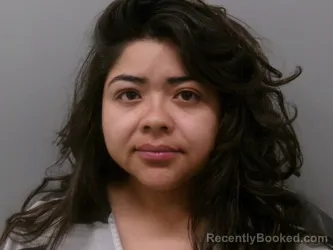 Mugshot of DAPHNE MICHELLE RODRIGUEZ booked in Wise County, Texas on April 4, 2026