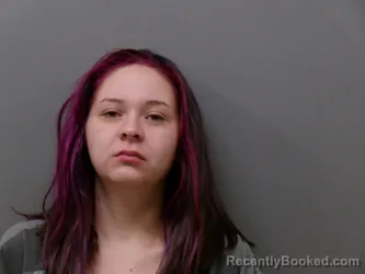 Booking photo from Wise County, Texas