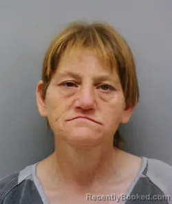 Mugshot of TAMMY ANN MOSES booked in Wise County, Texas on May 22, 2026