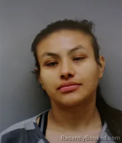 Mugshot of DAMARIS E GARCIA-BONILLA booked in Wise County, Texas on May 22, 2026