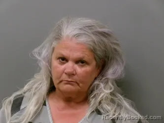Mugshot of TERESA WOODS HOSTETTLER booked in Wise County, Texas on May 23, 2026