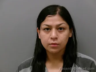 Mugshot of ADRIANA RAMIREZ NAVA booked in Wise County, Texas on May 29, 2026
