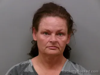 Mugshot of KERRIE PAULINE LONG booked in Wise County, Texas on June 3, 2026