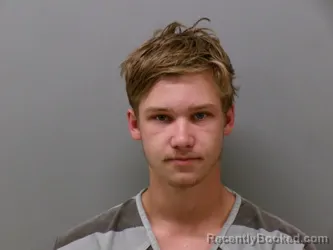 Mugshot of LEVI JOHN GIBSON booked in Wise County, Texas on June 13, 2026