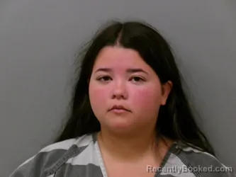 Mugshot of PATRICIA LYNNE ARCE booked in Wise County, Texas on July 5, 2026