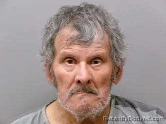Mugshot of GUSTAVO RAMIRES booked in Wise County, Texas on July 15, 2026