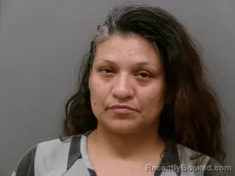 Mugshot of MARIA JUANA SANCHEZ booked in Wise County, Texas on July 17, 2026