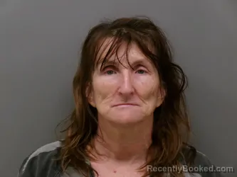 Mugshot of SHELLY DENISE ELDRIDGE booked in Wise County, Texas on July 29, 2026