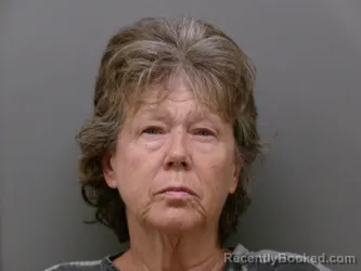 Mugshot of Connie Frances Clements booked in Wise County, Texas on August 15, 2026