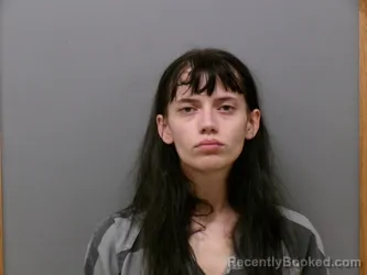 Mugshot of Zephyr Michelle Glover booked in Wise County, Texas on August 15, 2026