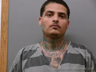 Mugshot of Ronnie Houston Walker booked in Wise County, Texas on August 21, 2026