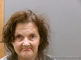 Mugshot of Rhonda Tucker Idlett booked in Wise County, Texas on August 26, 2026