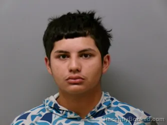 Mugshot of Jesse Jr Perales booked in Wise County, Texas on September 4, 2026