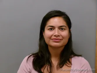 Mugshot of Ashlee Renee Ibarra booked in Wise County, Texas on September 22, 2026