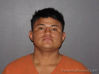 Mugshot of DIXIE ALEXANDRE DOMINGUEZ