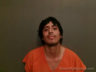 Mugshot of BERNARDO SILVA