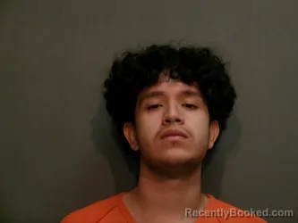 Mugshot of RICARDO FRAIRE booked in Wood County, Texas on March 24, 2026