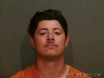 Mugshot of NICOLAS JAMES PALACIOS booked in Wood County, Texas on April 4, 2026