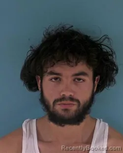 Mugshot of JOEL FABIAN MCARTHUR