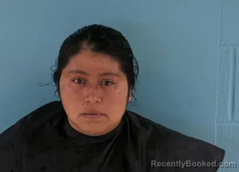 Mugshot of MINERVA BLANDINA FELIPE booked in Okeechobee County, Florida on April 7, 2026