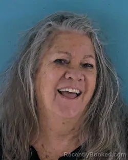Mugshot of DOREEN ANN HOLLENBECK