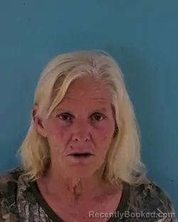 Mugshot of DEBRA SUE RAY