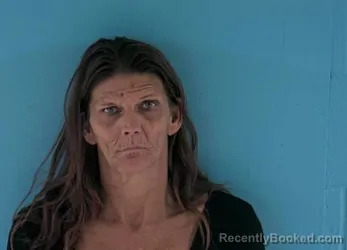 Mugshot of DORA LYNN VANDIVER booked in Okeechobee County, Florida on May 12, 2026