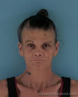 Mugshot of IVA JEAN VANDIVER booked in Okeechobee County, Florida on July 17, 2026