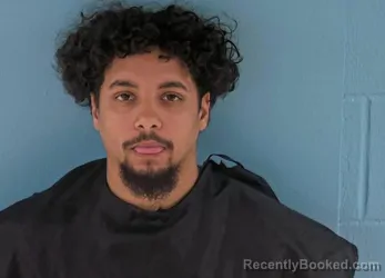 Mugshot of LEAMSI MALEK ALVARADO