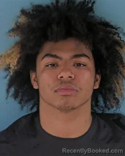 Mugshot of JORDAN JAMES SHANKS