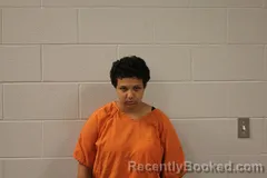 Mugshot of RAYA L HAYNES booked in Bourbon County, Kansas on June 6, 2026