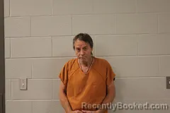 Mugshot of ROGER D BLEVINS booked in Bourbon County, Kansas on June 12, 2026