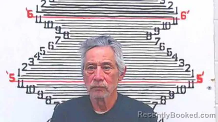 Mugshot of Randy Lynn Mendez