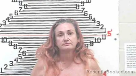 Mugshot of Valerie Michelle Evans booked in Brown County, Kansas on March 19, 2026