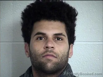 Mugshot of LUIS MANUEL CARO ALIAGA