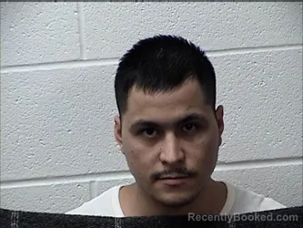Mugshot of CARLOS DANIEL BERMUDEZ-ESTRADA
