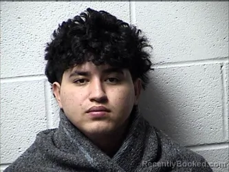 Mugshot of LENNI DAMIANT MENDOZA GALINDO