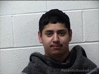 Mugshot of DANNY JOSE PINEDA ULLOA
