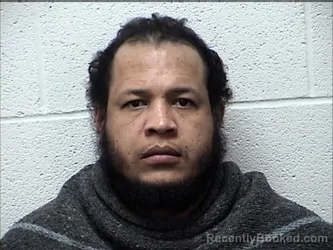 Mugshot of FABIAN ANDRES GARAY-PENA