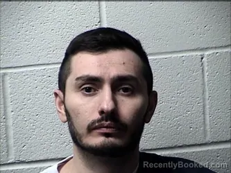 Mugshot of GIORGI BABUNASHVILI