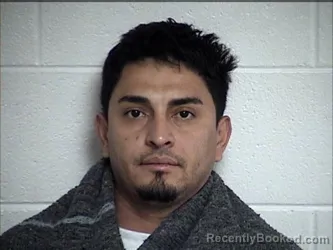 Mugshot of LUIS ARNALDO PALMA NUFIO