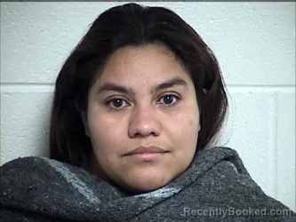 Mugshot of ELDY LARISA PALMA-MURILLO