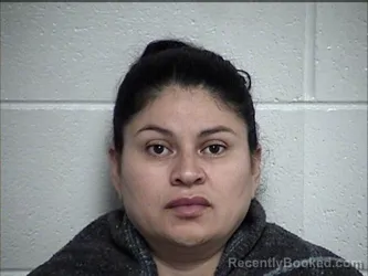 Mugshot of EDELIA ROJAS-PELCASTRE booked in Chase County, Kansas on March 20, 2026