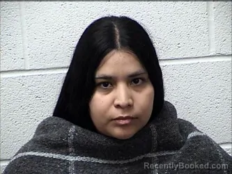 Mugshot of ALEJANDRA ROBLEDO IBANEZ booked in Chase County, Kansas on April 30, 2026
