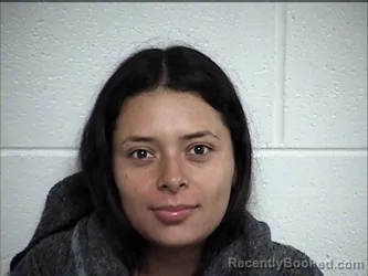 Mugshot of DORESLY ARCELI GARCIA TELETOR booked in Chase County, Kansas on June 13, 2026