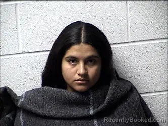 Mugshot of LESLIE JANETH CASTILLO booked in Chase County, Kansas on July 27, 2026